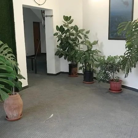 Pazari_ri_studio Tirana
